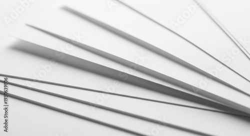 A set of metal skewers arranged in a fan shape on a white background.