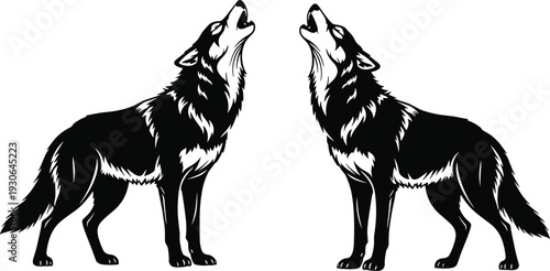 Howling Wolves: Two majestic wolves lift their voices in a harmonious, spine-tingling chorus, their silhouettes stark against the expansive sky, echoing the untamed spirit of the wild.