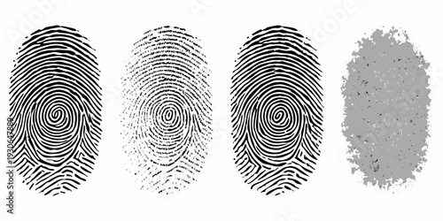 Four fingerprint impressions three detailed one partially obscured or smudged