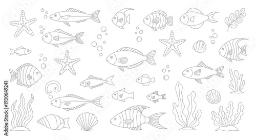 Sea Life Fish Ocean Marine Illustration
