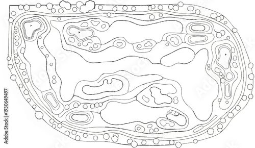 A black and white drawing outlines a golf course with winding fairways, bunkers, and greens