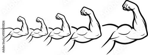 Four cartoon biceps flexing, arranged in a line, increasing in size