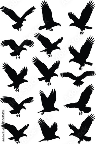 Black eagle silhouettes in flight, landing poses, dynamic bird motion, wings spread, vector illustration, wildlife design, raptor anatomy, majestic bird art collection