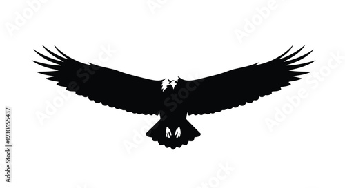 Black silhouette of an eagle in flight with outstretched wings on white background symbolizing freedom and power