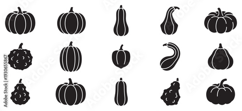 Various pumpkins and gourds silhouettes collection showcasing diverse shapes and sizes perfect for autumn and harvest designs.