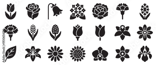 Collection of various flower icons representing different types of beautiful blooming plants and botanical elements.