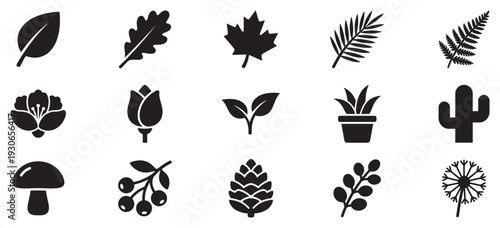 Botanical plant nature elements collection featuring various leaves, flowers, and natural flora silhouettes for design projects.