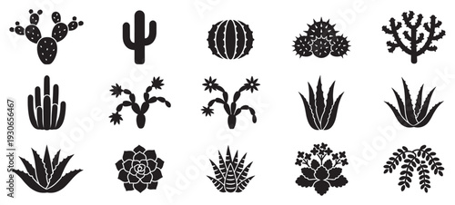 Various cacti and succulents desert plants vector icons collection features diverse botanical shapes and forms for graphic design projects.