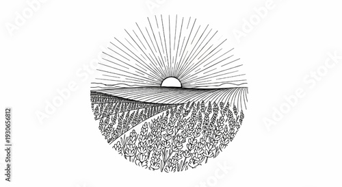 A stylized sunrise illuminates a field of blossoming plants and rolling hills
