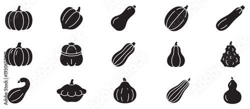 Various types of squash, gourds, and pumpkins are depicted as a collection of minimalist black silhouette icons.