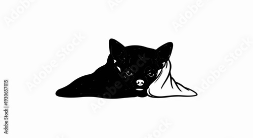 A black dog with large ears lies on its side, head resting on a light-colored blanket