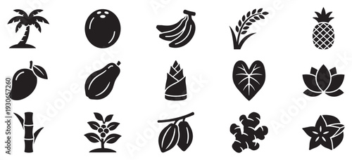 Tropical fruits and plants icons set in a flat black silhouette style for various design projects and healthy food concepts.