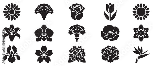 Various flower icons collection featuring diverse botanical plant species showcasing different bloom shapes and elegant floral designs.