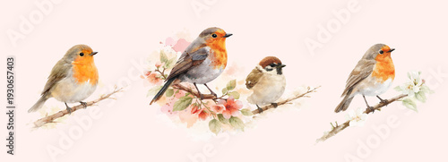 Soft Hand Drawn Watercolor Birds on Branch Illustration Set