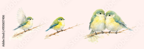 Soft Hand Drawn Watercolor Birds on Branch Illustration Set