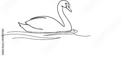 A minimalist black and white line drawing of a graceful swan floating on water