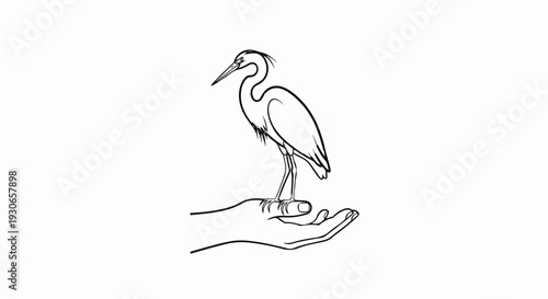 A minimalist line drawing of a heron perched gracefully on an open palm