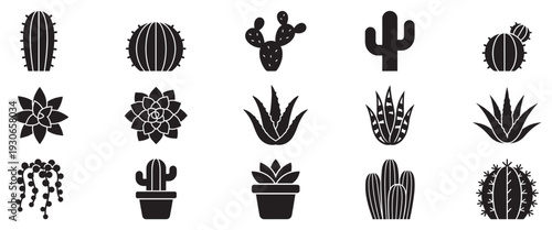 Various cacti and succulent plants are depicted as a collection of diverse black silhouette icons for modern graphic design projects.