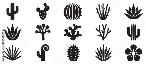 Desert plants and cacti silhouettes collection featuring various succulent species and arid flora icons for graphic design.
