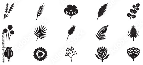 Various plant icons and botanical silhouettes collection featuring natural elements, perfect for design, nature, and organic themes.