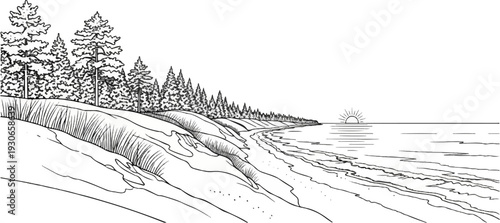 Shoreline with dunes, grasses, pine forest, and setting sun over water