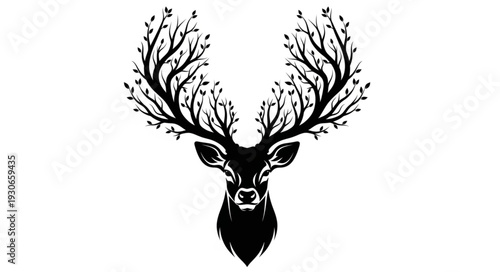 Deer Head with Antlers Illustration.