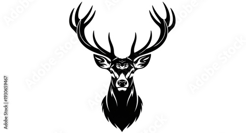 Deer Head with Antlers Illustration.