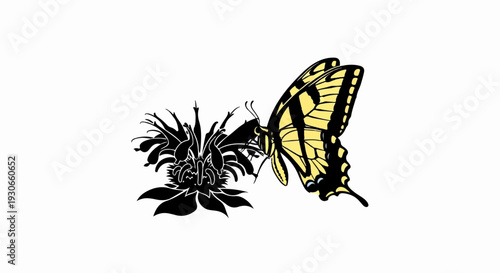 A yellow butterfly with black stripes rests on a black flower