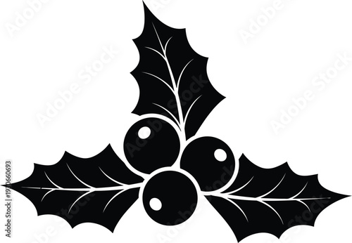 Black Holly Leaves and Berries Isolated on White Background