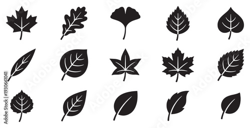 Various tree leaf icons in a minimalist black and white style representing different plant species and seasons.
