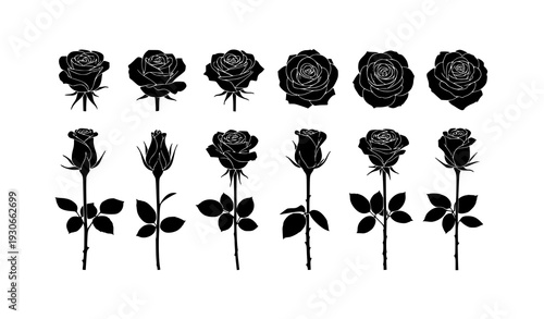 Rose Flower Silhouette Vector Set Isolated on White Valentines Day Floral Collection