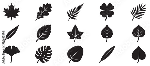 Various black leaf icons representing different plant species and nature, perfect for graphic design elements and botanical themes.