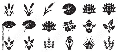 Aquatic plants and flowers vector icons set illustrating various pond and wetland flora silhouettes for nature and garden designs.