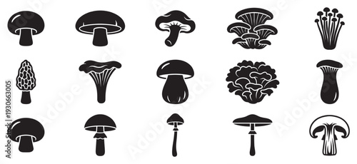 Various types of mushrooms and fungi silhouettes are displayed in a comprehensive collection of edible and wild species icons.