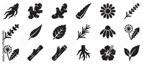 Herbal plants and natural remedies icons collection featuring various medicinal herbs, roots, flowers, and leaves for health and wellness.