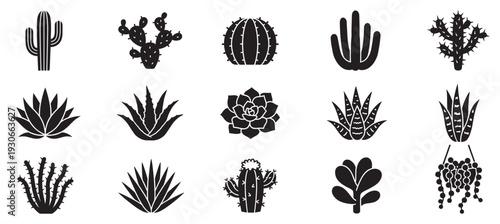 Various cacti and succulents plants silhouettes collection featuring diverse desert flora for botanical design elements.