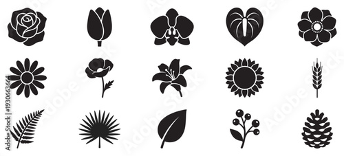 Botanical flower plant leaf berry pinecone icons set provides a diverse collection of natural elements for design projects.