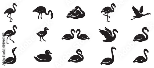 Various bird silhouettes in different poses and actions including elegant flamingos, graceful swans, and cute ducklings.