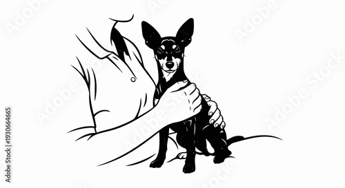 Person embracing a small, black dog with large pointed ears