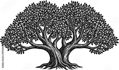 Intertwined bonsai tree illustration, dual trunk design, dense foliage canopy, black and white art, unity growth nature symbol, flavector