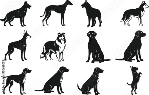Collection of dog breed silhouettes in different poses isolated on white background, domestic animals set for pet, canine and animal design concept
