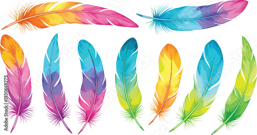 Feather, watercolor, rainbow, colorful, vibrant, bird, wing, plumage, vector, isolated, boho, artistic, gradient, decoration, texture,