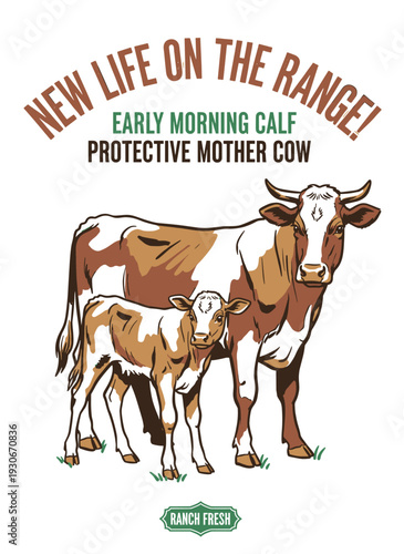 Vintage ranch mother cow and calf vector illustration, 'New Life on the Range' graphic for farm and agriculture branding.