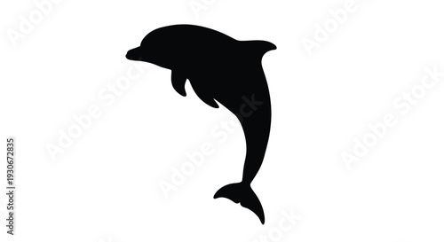 Black dolphin silhouette jumping out of water on white background swimming free aquatic mammal marine life symbol