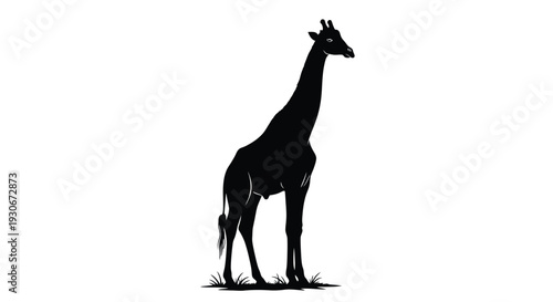 Black silhouette of a giraffe standing on grass against a white background simple animal illustration