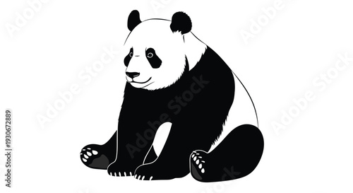 Black and white panda bear sitting on ground looking cute and playful