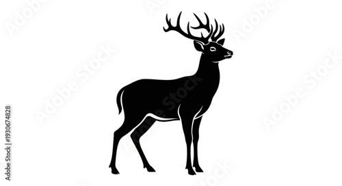 Deer Silhouette with Antlers Standing.