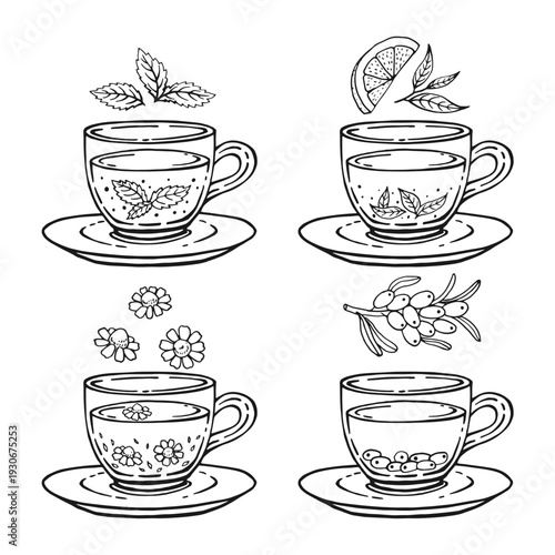 Set glass mugs of tea and saucer. Medicinal tea. Hand drawn vector illustration.