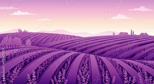 Vibrant purple lavender fields stretch endlessly under a soft, glowing sky, creating a serene and picturesque rural landscape scene, inviting tranquility and natural beauty