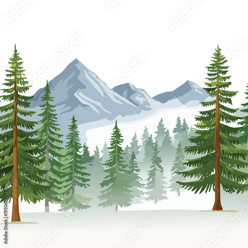 Forest landscape with evergreen trees and distant mountains